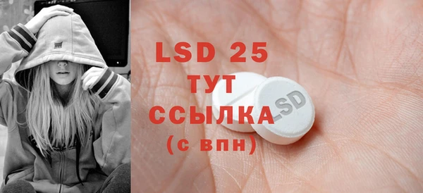 ГАЛЛЮЦИНОГЕННЫЕ ГРИБЫ Покачи
