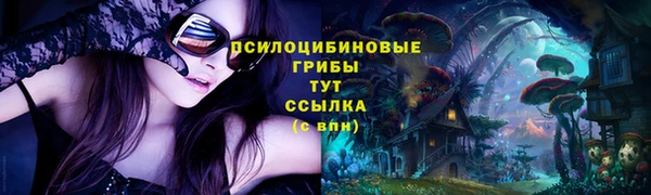 экстази Абаза