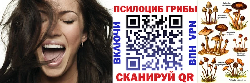 Галлюциногенные грибы Magic Shrooms  купить   Азнакаево 